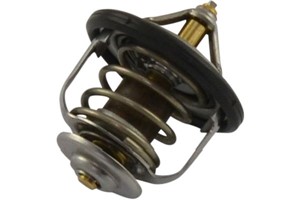 Termostat, kylvätska, framaxel vänster, DAIHATSU,HYUNDAI,KIA,LEXUS,NISSAN,TOYOTA, 1N1315171, 212004M500, 212004M510, 2120077A05, 2120077