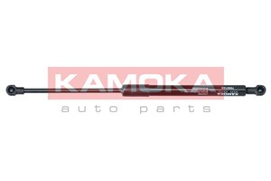 Gasfjäder, bagageutrymme, Bak, CITROËN C6, 8731 K8, 9661815180