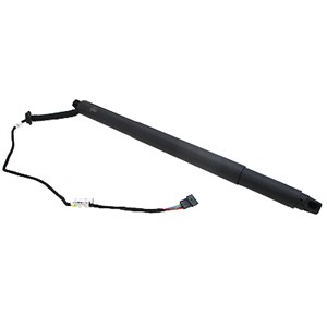 Gasfjäder, Lastgolv (Lastutrymme), Vänster bak, Bagageutrymme, BMW X6 [F16, F86], 51247318651