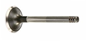 Insugsventil, AUDI,SEAT,VW, 069 109 601G, 069 109 601H