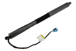 Gasfjäder, bagageutrymme, Höger bak, BMW X3 [G01, F97], 51247397322