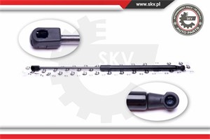 Gasfjäder, bagageutrymme, Bak, FIAT BRAVO II, BRAVO Van, 51751743, 51812267
