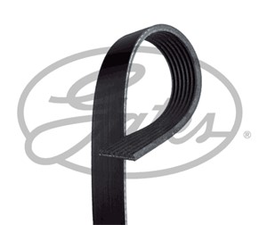 Flerspårsrem, HONDA CIVIC IX, CIVIC Tourer IX, CR-V IV, HR-V, 31110RZ0G01, 31110RZ0G02