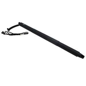 Gasfjäder, Lastgolv (Lastutrymme), Vänster bak, Bagageutrymme, BMW X4 [F26], 51247339431