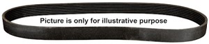 Flerspårsrem, FORD,HONDA,MERCEDES-BENZ,VW, 0119976992, 021145933A, 021145933B, 021145933C, 021145933G, 022145933F, 31110PRA013