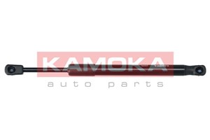 Gasfjäder, bagageutrymme, Bak, AUDI A6 C6, 4F5827552G