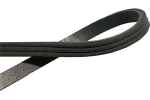 Flerspårsrem, CHEVROLET VOLT, LEXUS NX, NISSAN 200SX Coupé, MICRA I, OPEL AMPERA, TOYOTA RAV 4 IV, 1172001B00, 1195065F11, 1195085F10, 1