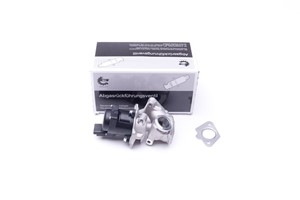 EGR-Ventil, FORD,MAZDA,MINI,VOLVO, 11717804950, 1338675, 1439414, 1479057, 1526689, 1682737, 31259249, 36001412, Y60520300, Y60520300A,