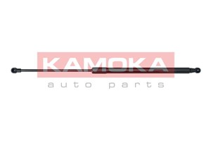 Gasfjäder, bagageutrymme, Bak, CITROËN C4 CACTUS, 9800805480, 9813913880