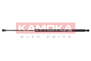 Gasfjäder, bagageutrymme, Bak, BMW X3 [E83], 51243400379