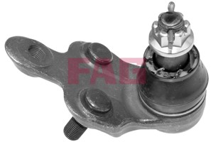 Kulled / Spindelled, framaxel höger, Nedre, LEXUS RX, TOYOTA CAMRY Sedan, PREVIA II, 4333009160, 43330-09160, 4333009180, 43330-09180, 4