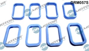 Packningssats, insug, grenrör, CITROËN,FIAT,FORD,JAGUAR,LAND ROVER,PEUGEOT, 0348.T1, 1138392