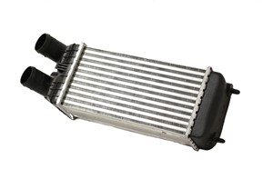 Intercooler, CITROËN BERLINGO MULTISPACE, C3 II, C3 PICASSO, C4 CACTUS, C-ELYSEE, DS3, DS3 Cabriolet, 0384N8, 9803900780