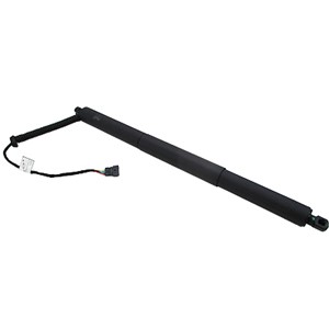 Gasfjäder, Lastgolv (Lastutrymme), Bak, Vänster bak, BMW X5 [F15, F85], 51244823279, 51247294469