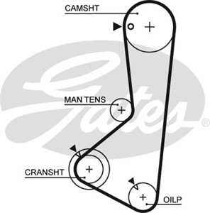 Kamrem, HYUNDAI SANTAMO, SONATA III, MITSUBISHI L 300 Buss III, L 300 Skåp III, L200, 24312-32560, MD189521