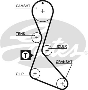 Kamrem, RENAULT,VOLVO, 1370779, 1685861, 3342103, 6C119176AA, 6C119176AB, 7700718752