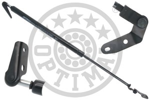 Gasfjäder, bagageutrymme, Höger, TOYOTA COROLLA Compact, 6895019525, 6895019526, 6895019835, 6896019855
