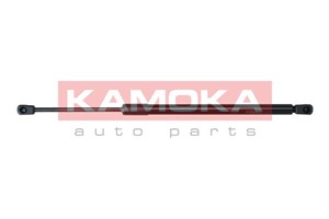 Gasfjäder, bagageutrymme, Bak, FORD FOCUS I, 1074368, XS41A406A10AE