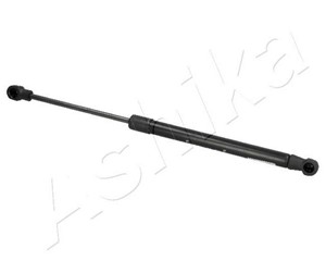 Gasfjäder, bagageutrymme, Tvåsidig, RENAULT LAGUNA Grandtour III, 904600001R