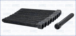 Bultsats, topplock, AUDI A4 B5, A4 B5 Avant, A6 C4, A6 C4 Avant, A6 C5, A6 C5 Avant, CABRIOLET B3, VW PASSAT B5, PASSAT B5 Variant, 0581