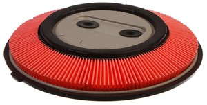 Luftfilter, NISSAN SUNNY II, SUNNY Coupé II, SUNNY Hatchback II, SUNNY Traveller II, 16546-84A10, 1654684A10JP, 1654684A10US