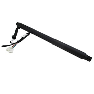 Gasfjäder, Lastgolv (Lastutrymme), Höger bak, Bagageutrymme, BMW X5 [E70], 51244887652, 51247172060, 51247286116, 51247294588, 512473326