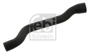 Kylarslang, Vänster bak
