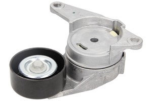Sträckare, flerspårsrem, ALFA ROMEO,BUICK,CADILLAC,CHEVROLET,OPEL,SAAB,VAUXHALL, 06 36 527, 12575509, 12626644, 4817877, 71741116, 71770