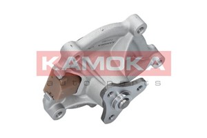Vattenpump, BMW,CITROËN,DS,MINI,PEUGEOT, 0446510011, 0446510030, 0446510090, 0446510091, 0446510160, 04465YZZAH, 0449110050, 0449110060,