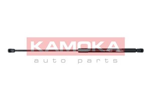 Gasfjäder, bagageutrymme, Bak, CITROËN C4 Coupé, 8731 J9, 9650854180