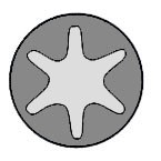 Bultsats, topplock, CITROËN,FIAT,LANCIA,PEUGEOT, 0204.68 (10x), 0204.99 (10x), 9638586480