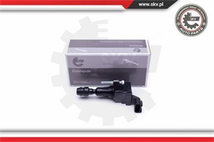 Tändspole, CHEVROLET,OPEL,SAAB,VAUXHALL, 01208089, 012578224, 012589623, 012629646, 04802236, 04805094, 1208089, 12578224, 12589623, 126