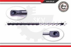 Gasfjäder, bagageutrymme, Bak, FORD C-MAX, FOCUS C-MAX, 1252377, 1252806, 1683725, 3M51R406A10AB