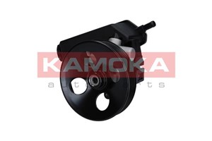 Servopump, DACIA,RENAULT, 0948064, 59 48 029, 5948029, 9 48 064, 90501831, 93175563