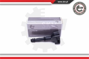 Tändspole, PORSCHE 911, 911 Cabriolet, 911 Targa, BOXSTER, BOXSTER Spyder, CAYMAN, 90660210101, 90660210200, 90660210301, 99660210101, 9