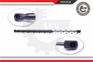Gasfjäder, bagageutrymme, Vänster bak, PEUGEOT 4007, 1617189480, 5802A007, 8731Q1