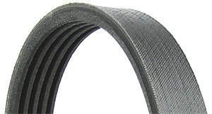 Flerspårsrem, AUSTIN,BMW,FORD,HYUNDAI,KIA,ROVER,TOYOTA,VOLVO, 11281703943, 11281726690, 1370974, 1563258, 1703943, 1726690, 1730185, 252