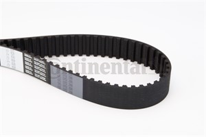 Kamrem, CITROËN,FIAT,IVECO,RENAULT, 081699, 0816E5, 09161131, 4403027, 4500831, 5001836605, 503643969, 503646974, 7701035242, 7701043483