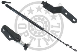 Gasfjäder, bagageutrymme, Vänster, TOYOTA COROLLA Compact, 6896019525, 6896019545