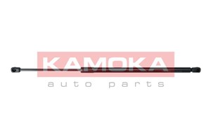 Gasfjäder, bagageutrymme, Bak, FORD FIESTA V, 1141159, 1224731, 2S61A406A10AB, 2S61A406A10AC