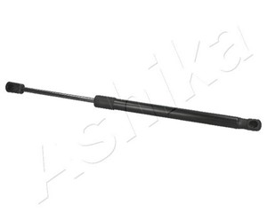 Gasfjäder, bagageutrymme, BUICK RENDEZVOUZ, 10314094