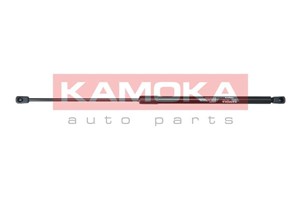 Gasfjäder, bagageutrymme, Bak, RENAULT KOLEOS I, 904505599R, 904513981R