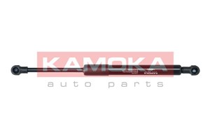 Gasfjäder, bagageutrymme, Bak, RENAULT FLUENCE, 7000210527C0, 904514876R