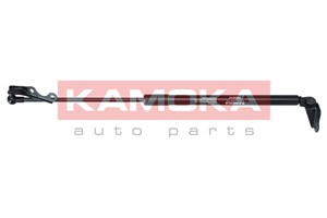 Gasfjäder, bagageutrymme, Vänster bak, TOYOTA YARIS, 6895009110, 6896059025, 6896059026
