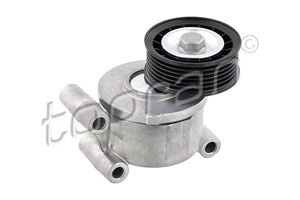 Remsträckare, flerspårsrem, FORD C-MAX, FOCUS II, FOCUS C-MAX, FOCUS Turnier II, VOLVO C30, S40 II, V50, 1 251 661, 1 315 781, 30684344,