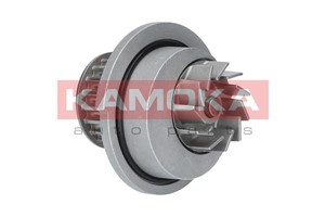 Vattenpump, CHEVROLET AVEO / KALOS Halvkombi, AVEO / KALOS Sedan, DAEWOO KALOS, KALOS Sedan, LANOS, LANOS Sedan, 09119716, 09192793, 13