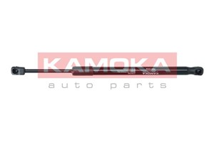 Gasfjäder, motorhuv, Fram, BMW X5 [F15, F85], X6 [F16, F86], 51237294524