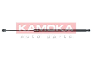 Gasfjäder, bagageutrymme, Bak, BMW X3 [F25], 51247211289