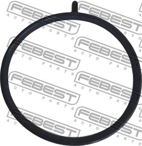 Packning, gasspjällsstuts, BUICK,CHEVROLET,OPEL, 55566665
