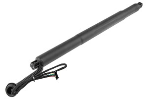 Gasfjäder, Lastgolv (Lastutrymme), Vänster bak, BMW X6 [F16, F86], 51247318651